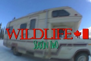 Nuulife Cinema – Wildlife 第二季 ：第一集